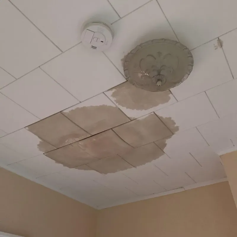 Ceiling Water Damage Repair in Heritage Lake, IL