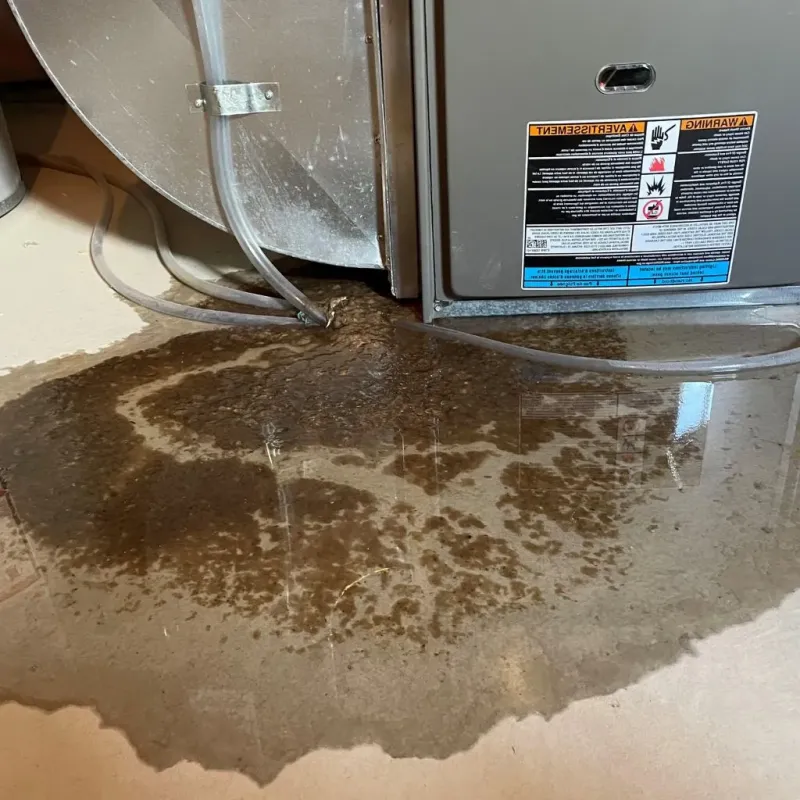 Pipe Burst and Leak Restoration in Heritage Lake, IL