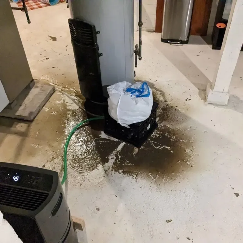 Sewage Backup Cleanup Service in Heritage Lake, IL